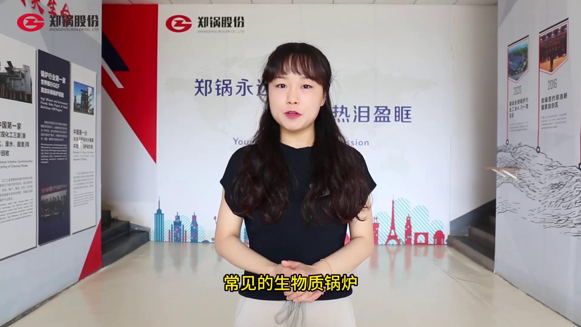 常見的(de)生(sheng)物質(zhì)(zhi)鍋鑪鑪型(xing)