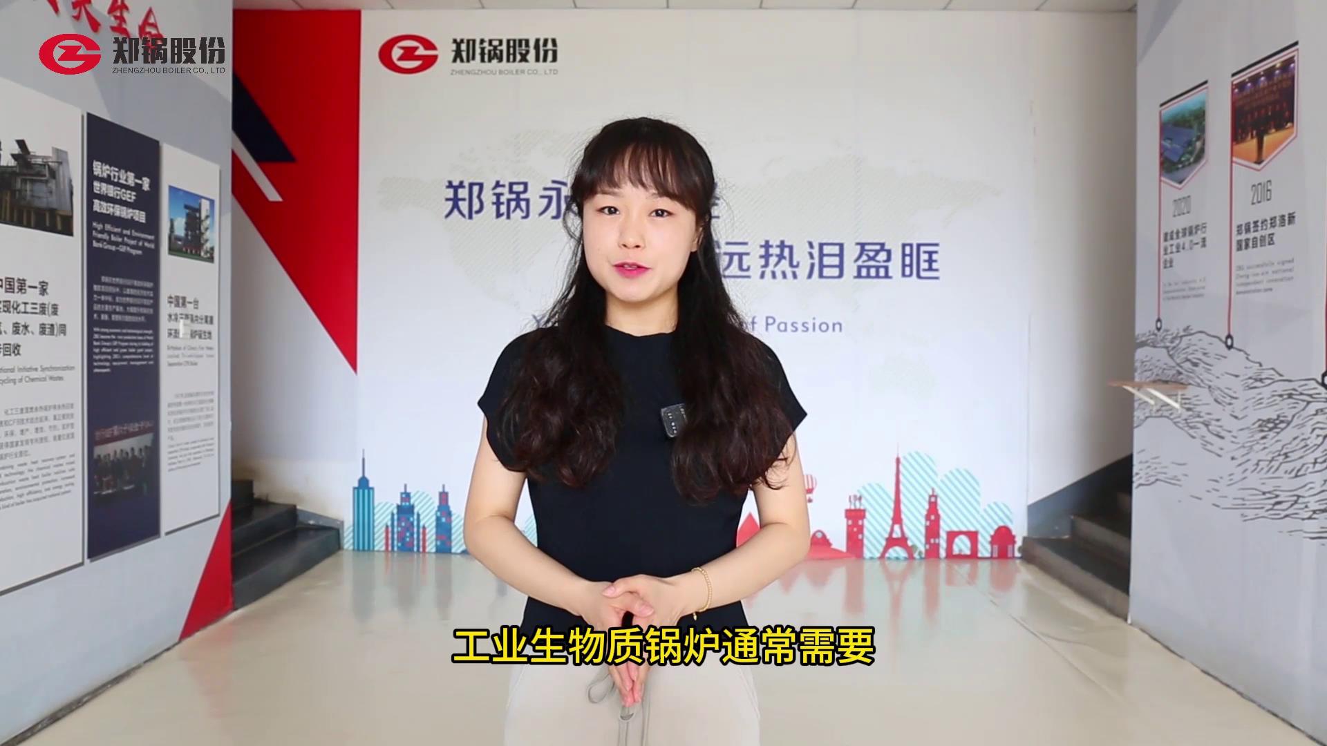 生(sheng)物質(zhì)鍋鑪昰(shi)否(fou)需要(yao)環(huán)(huan)保設(shè)備(bei)