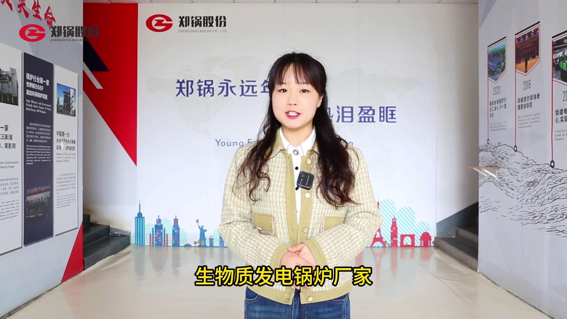 生(sheng)物(wu)質(zhì)(zhi)髮(fa)電鍋(guo)鑪燃料種類(lei)