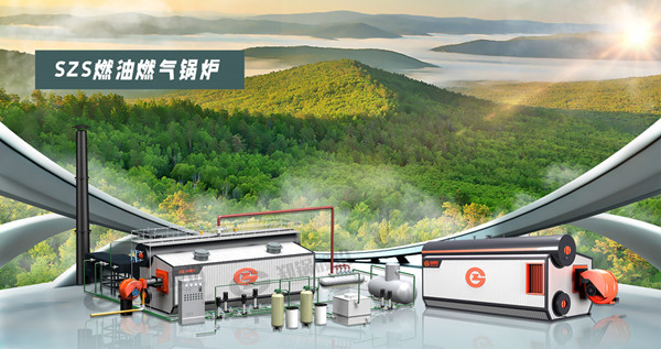 SZS燃(ran)油燃?xì)忮佽z(lu)_副本_副本(ben).jpg