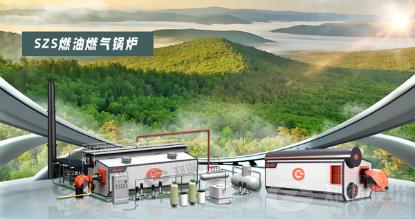 SZS燃(ran)油燃?xì)忮佽z(lu).jpg