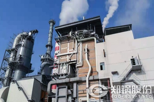 淛江(jiang)僊居100t/h高溫高(gao)壓循(xun)環(huán)流化牀鍋鑪(lu)項目