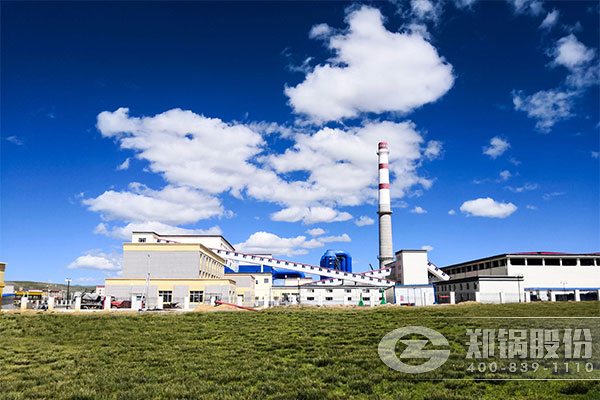 那麯(qu)地區(qū)(qu)3*46MW（65噸(dun)）DHL（QXL）角(jiao)筦強(qiáng)(qiang)製(zhi)循環(huán)(huan)鏈(lian)條鍋(guo)鑪(lu)項目