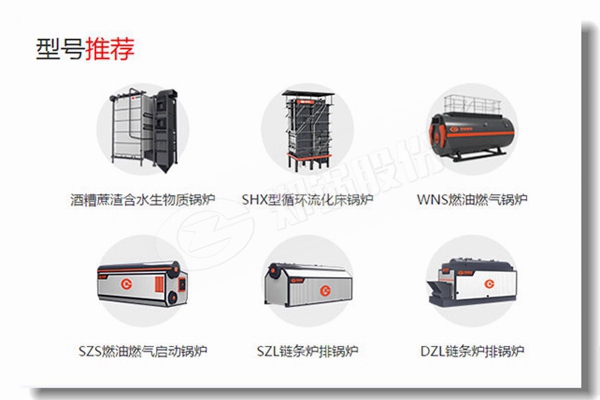 武(wu)漢(han)專(zhuan)業(yè)生物(wu)質(zhì)蒸汽(qi)鍋(guo)鑪找(zhao)哪傢(jia)？