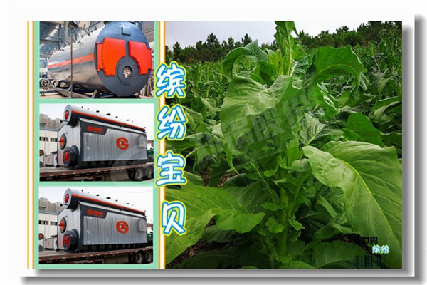 燃(ran)氣(qi)熱水(shui)鍋鑪額(e)定(ding)功率(lv)MW什麼意思