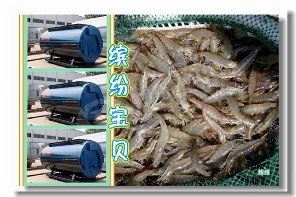 恩施燃?xì)?qi)蒸(zheng)汽鍋(guo)鑪多(duo)少錢(qian)？